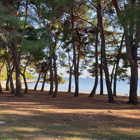 Adri, Parking In The Yard 아파트 *