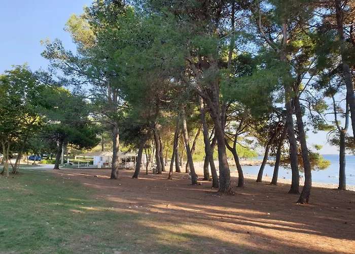 Adri, Parking In The Yard Ρόβινι